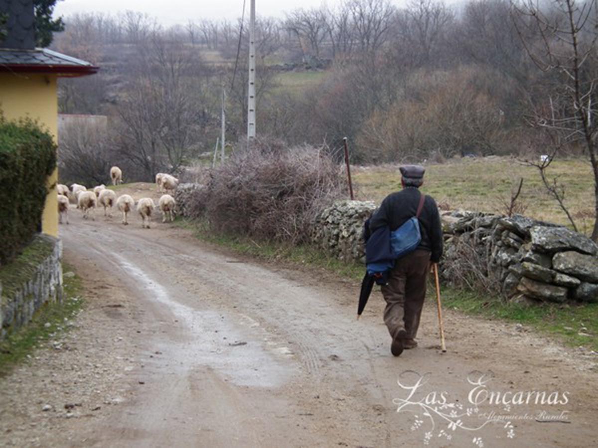 Las Encarnas Braojos de la Sierra Bagian luar foto
